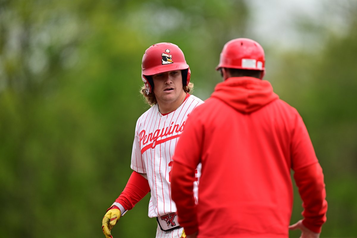 YSU Baseball 🐧 tweet media