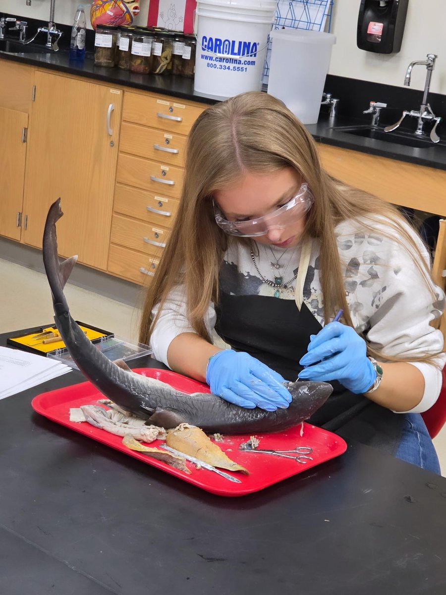 EHS Life Sciences - Rachel Hauck tweet media
