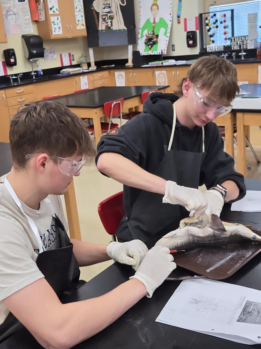 EHS Life Sciences - Rachel Hauck tweet media