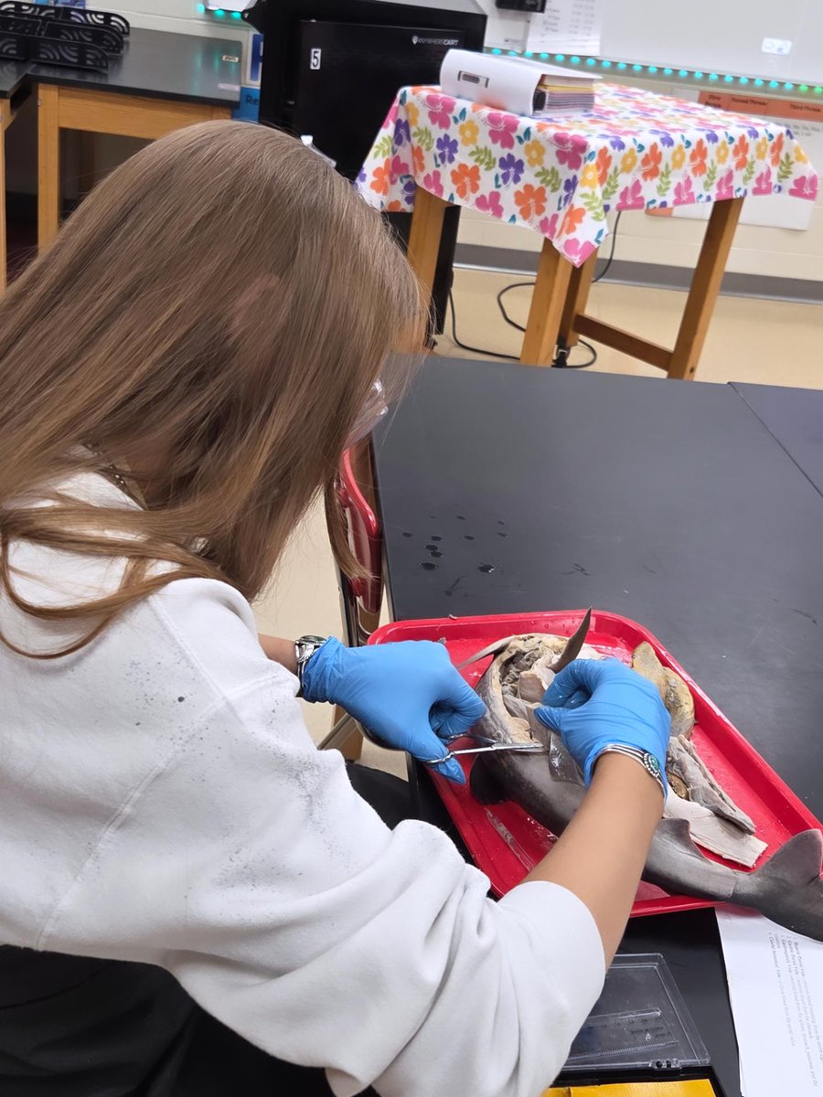 EHS Life Sciences - Rachel Hauck tweet media
