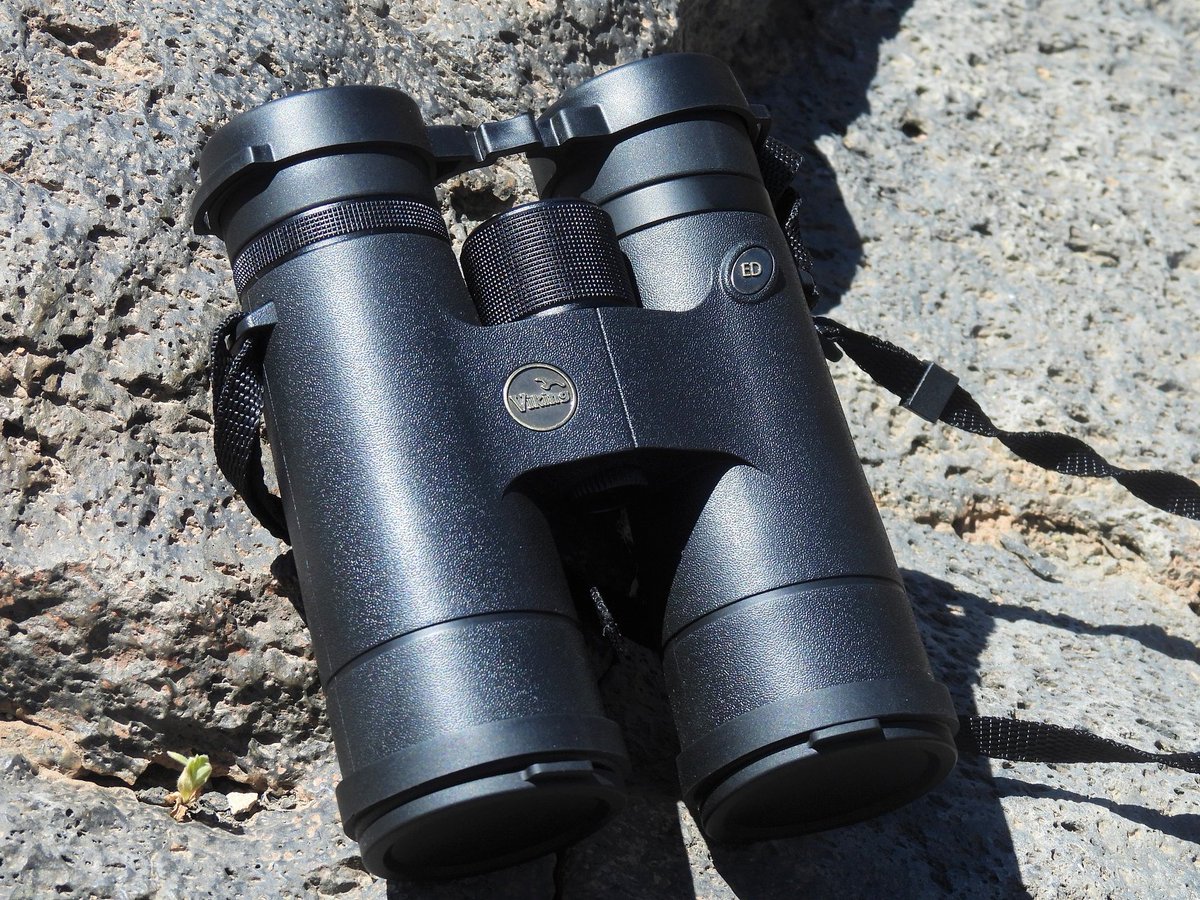 THE BIRDER'S STORE tweet media