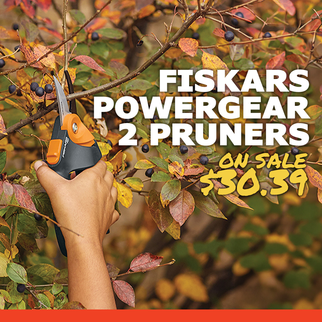 DR Power Equipment tweet media