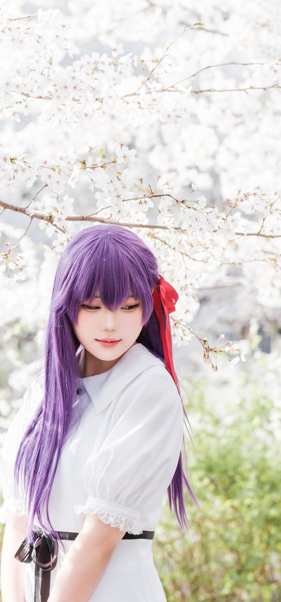 間桐桜　コスプレフルセット Fate/EXTRA CCC 間桐桜 コスプレウィッグ コスプレ衣装