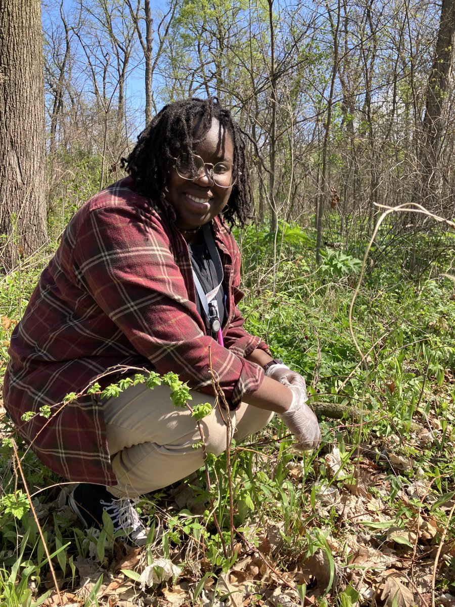 Forest Preserves tweet media