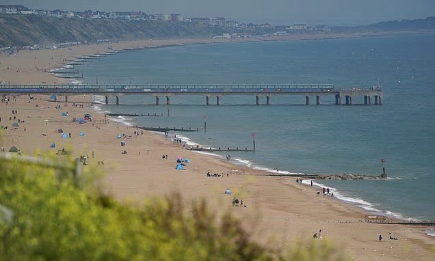 While everyone voted yesterday, a British woman was raped on a beach near Bournemouth. Police are looking for a "man".

Yes, another horrifying beach rape. Beaches have apparently become rape zones where women can't walk alone.

This is what's actually on the ballot.