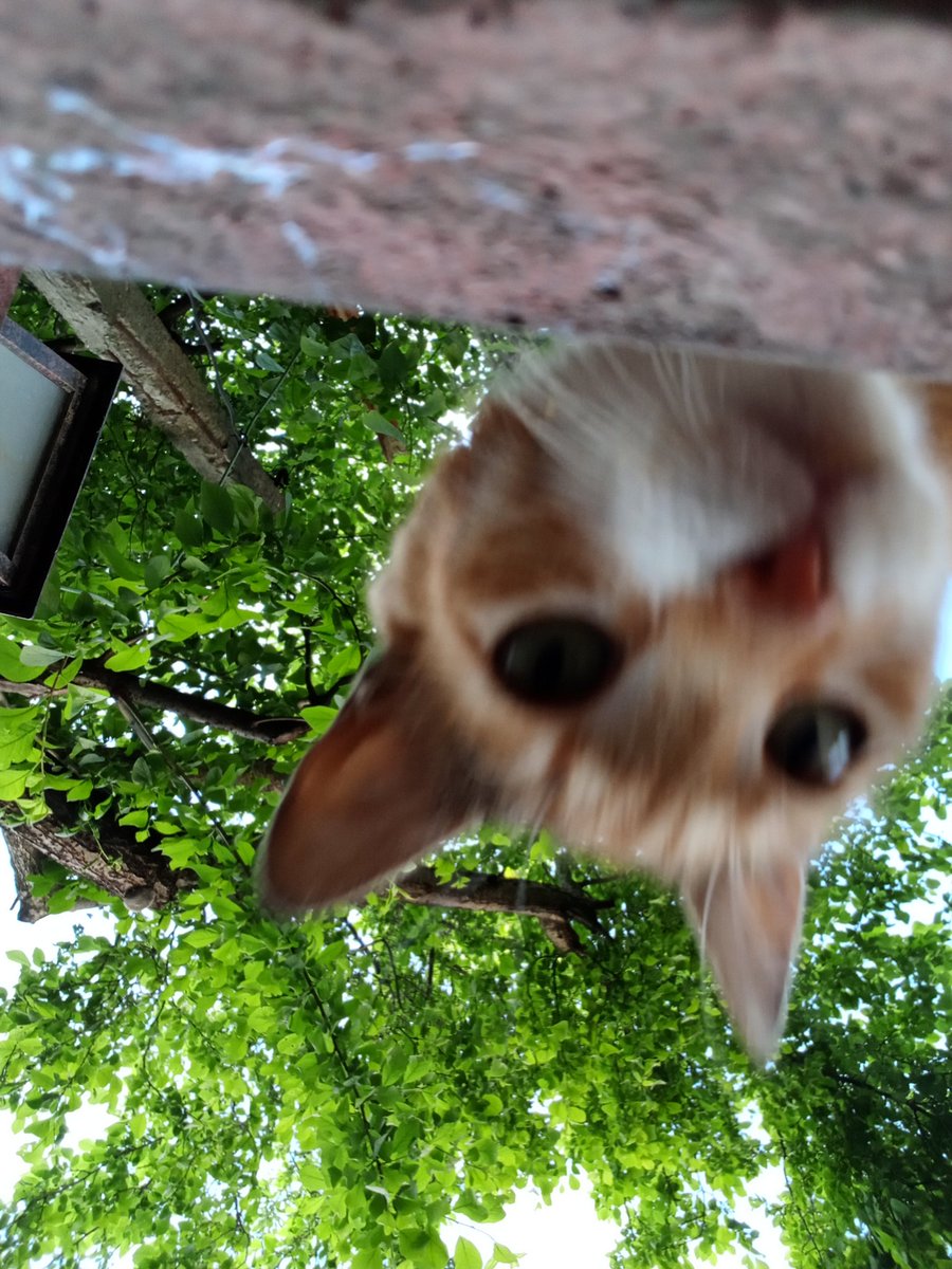 𝚢𝚞𝚔𝚒 ⋆˚✧･ tweet media