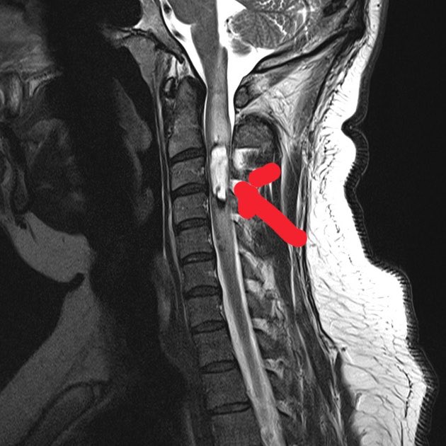 RADIOLOGISTS tweet media