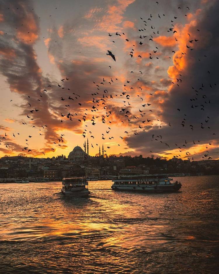 şöyle bir sakinlik tweet media