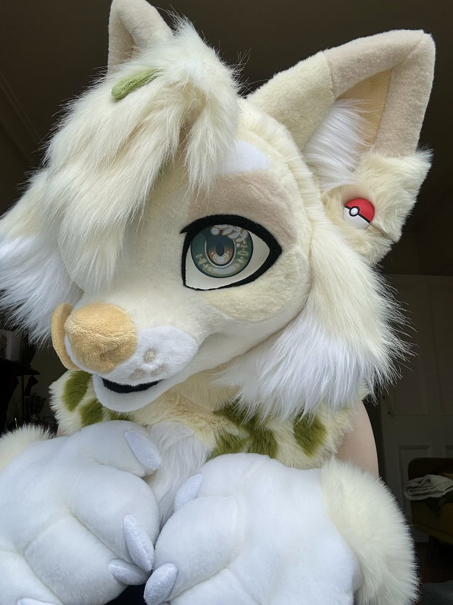 Coyhund's tweet photo. Rrruff!! Happy Fursuit Friday! 🐾🌿

Watcha think of my new earrings? https://t.co/5H2EsnGGAD