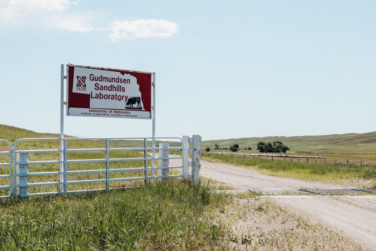 West Central Research and Extension Center tweet media