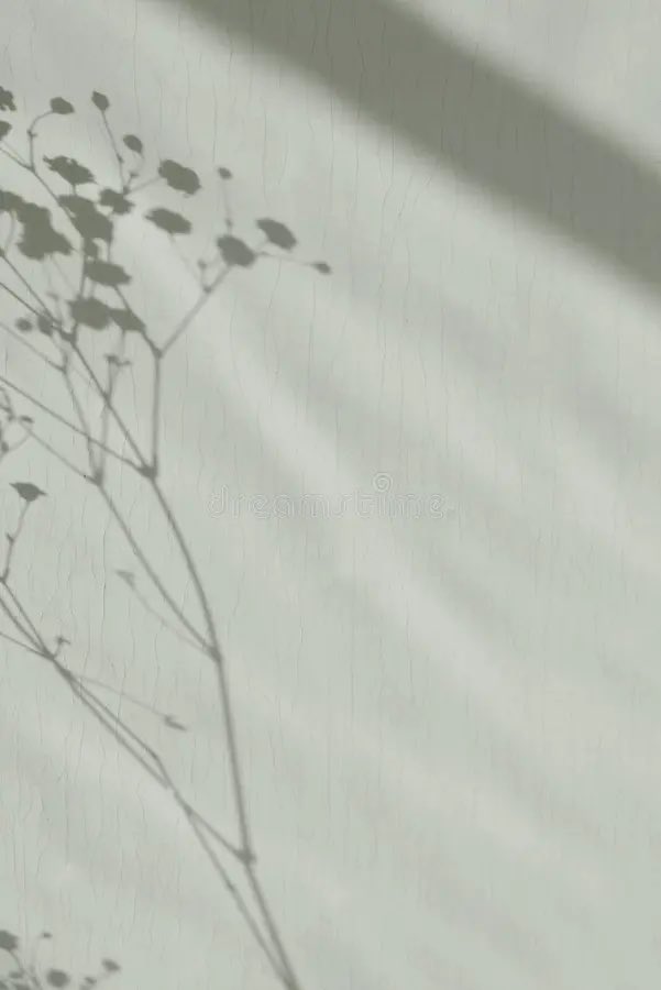Irie🌨️ tweet media