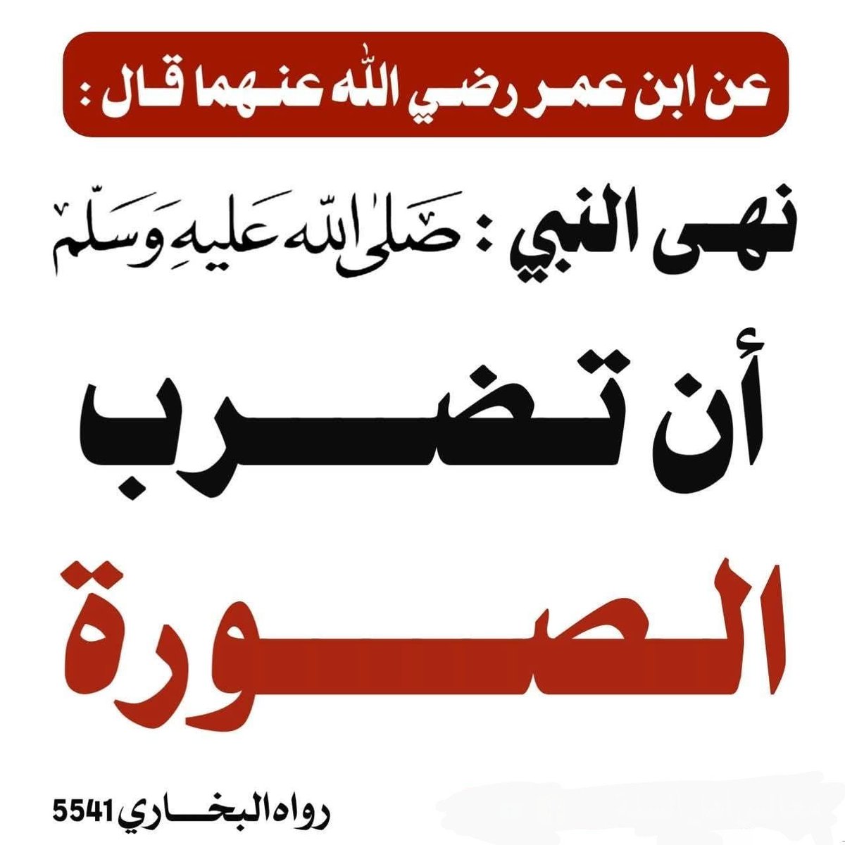 طويلب علم tweet media