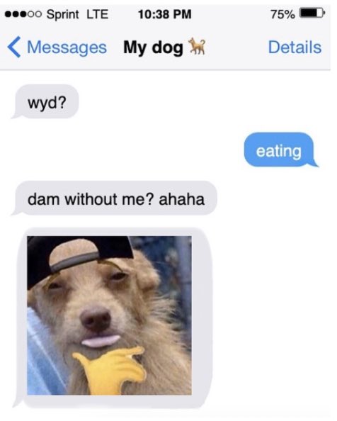 BarkBox tweet media