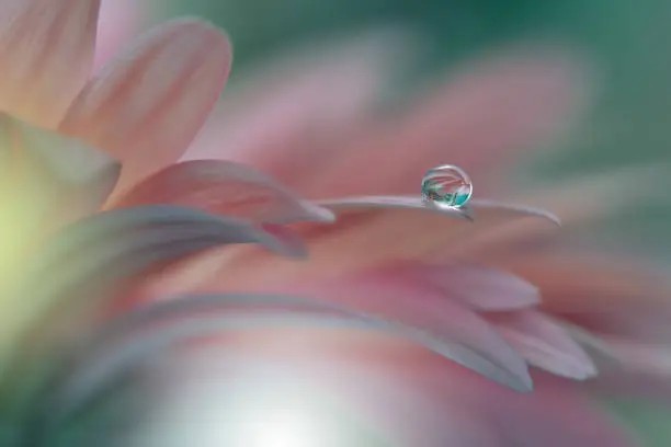 TFiredrake's tweet photo. A world hung suspended in a single #dewdrop. Within it the sun blazed through prismatic clouds; fields shaded in green and indigo stretched to the oddly curved horizon.

An entire civilization grew and died in the space of a morning before it evaporated in the day's heat.
#vss365 https://t.co/bwKjgCZSQg