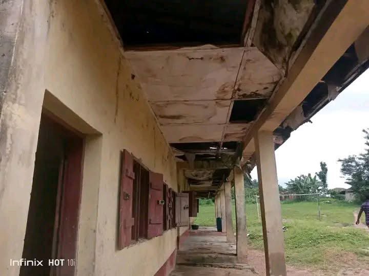 Lagos Landlord & Osun, Kwara Tenant🇳🇬 🇺🇬 🇬🇭 tweet media