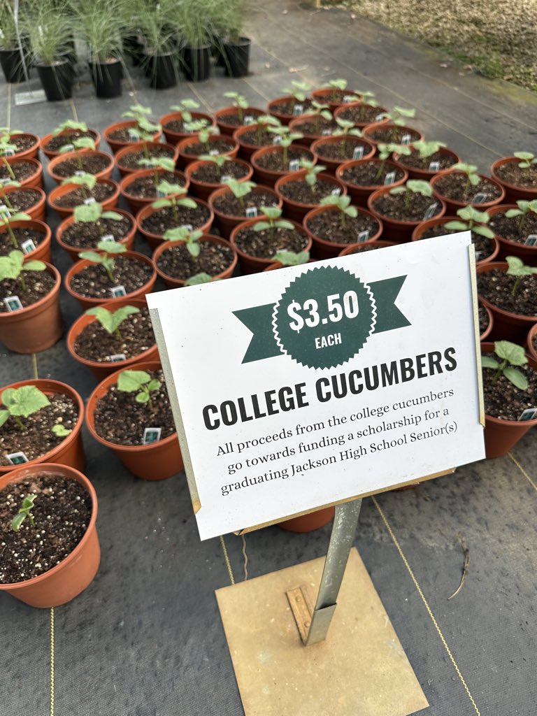sjdirito's tweet photo. One of the things that first pulled me into the plant world as a kid was growing a special cucumber variety with my grandma.

The proceeds from those plants went into a scholarship fund. Years later, we still grow that same variety today, and now I get to help award a yearly scholarship to a local student pursuing agriculture or horticulture.

Pretty cool seeing something that started with one plant come full circle.