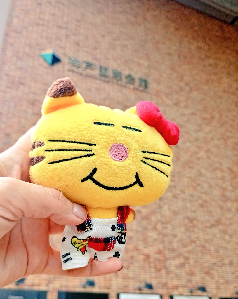 カッコ良かったな〜✨ 可愛かったなぁ〜💛 幸せな時間だった☺ ネコ