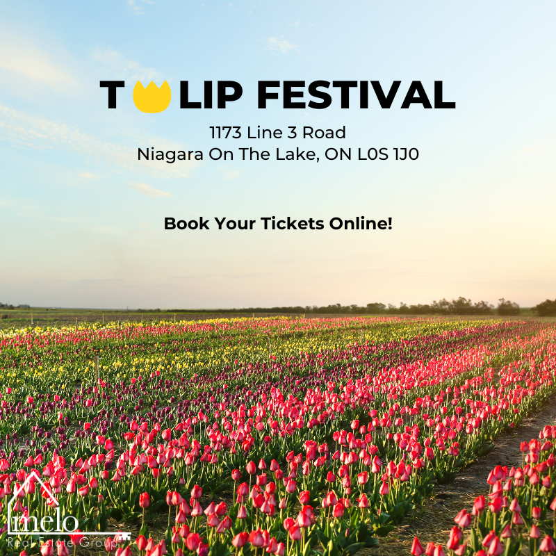 TelmaRealtor's tweet photo. 🌷 Treat Mom to a day in full bloom!

Celebrate Mother’s Day surrounded by millions of blooming tulips! Stroll through vibrant flower fields, pick your own bouquet, snap unforgettable family photos, and create memories Mom will treasure forever. 🌸✨ https://t.co/lViEWnAJhm