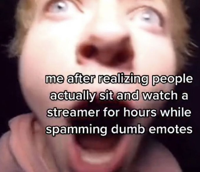 RealestMemes tweet media