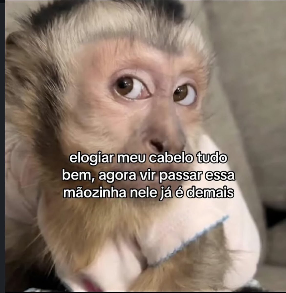 Pagina lixo tweet media