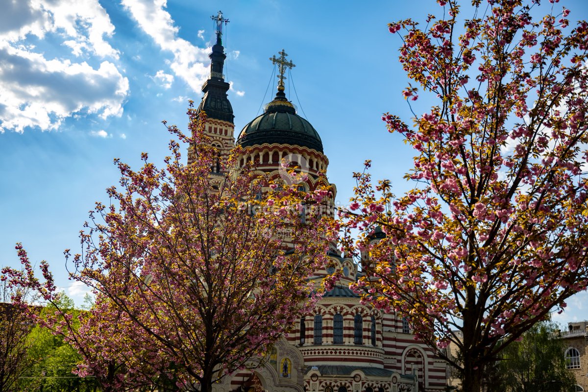 Kate from Kharkiv tweet media