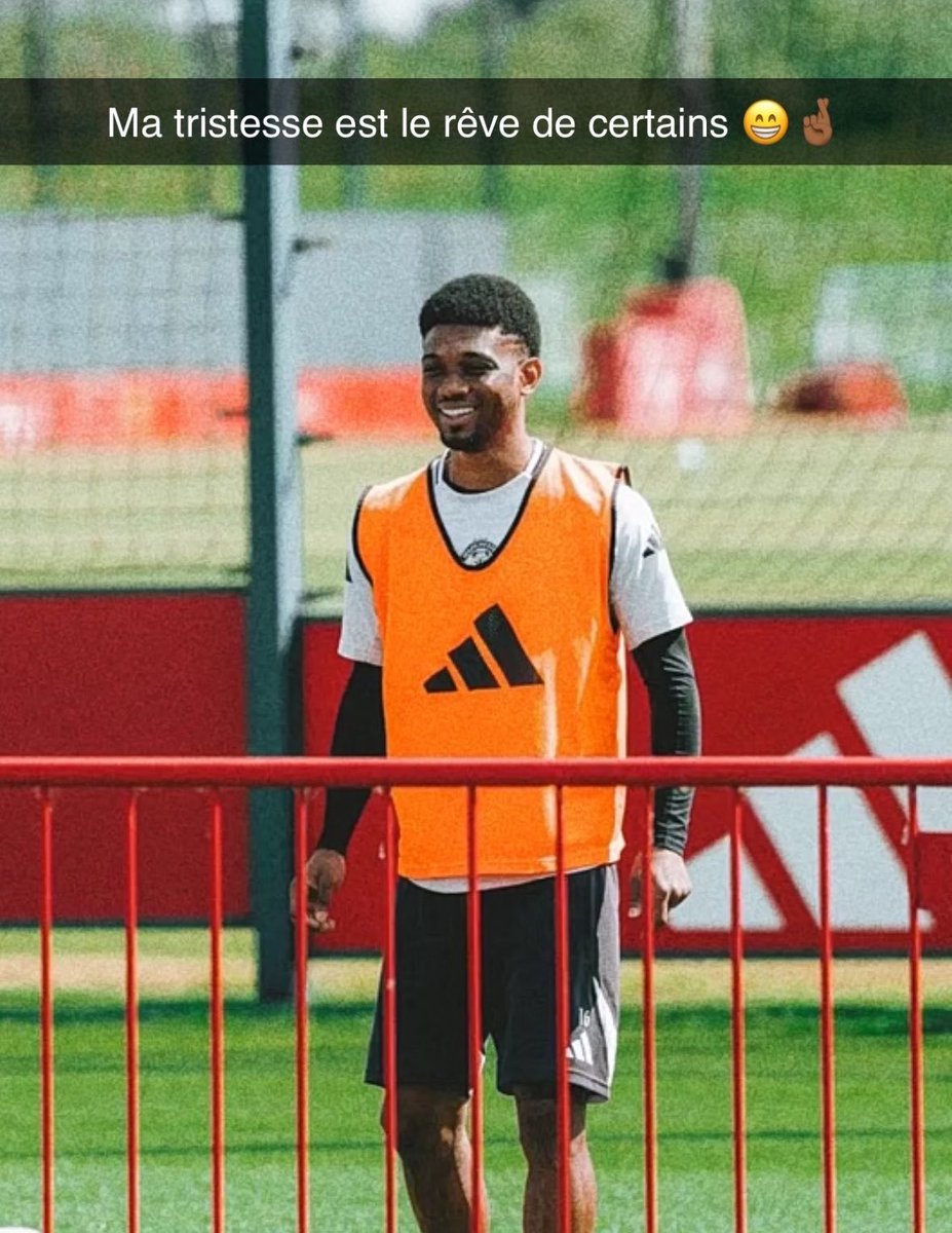 (fan) Frank 🧠🇾🇪 tweet media