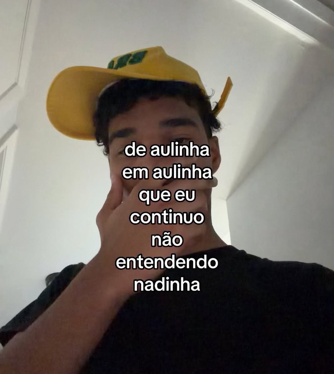 sincera tweet media