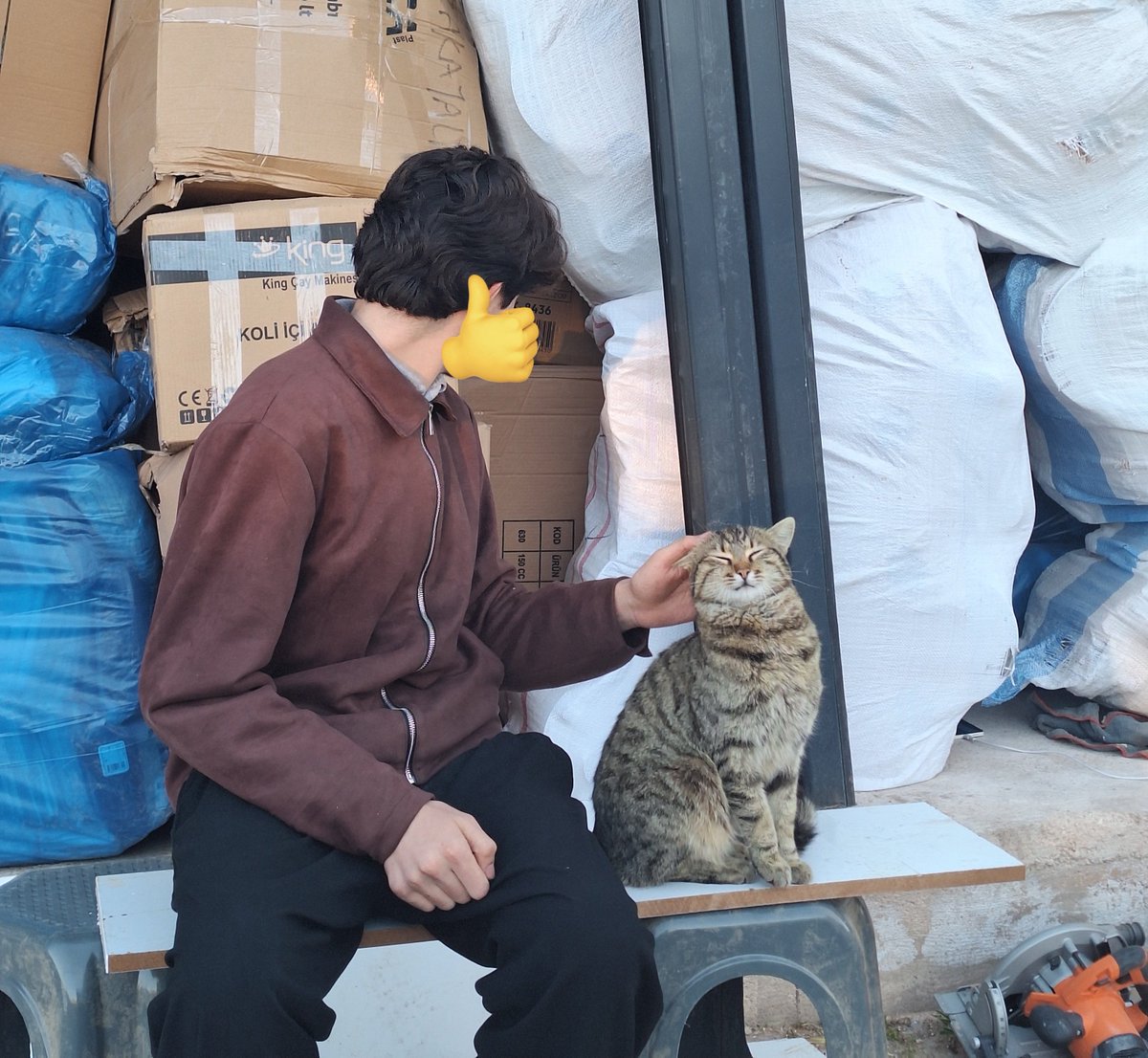Essolisr's tweet photo. essek ya o kadar merhametli ki kedi görünce sevmeden geçemiyo 🥹😭 https://t.co/tYeOonMAeV
