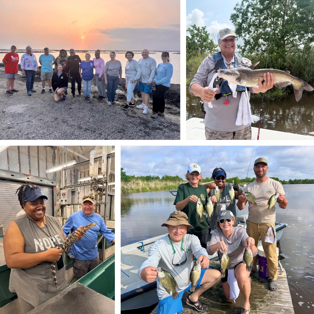 LaWildlife&Fisheries tweet media