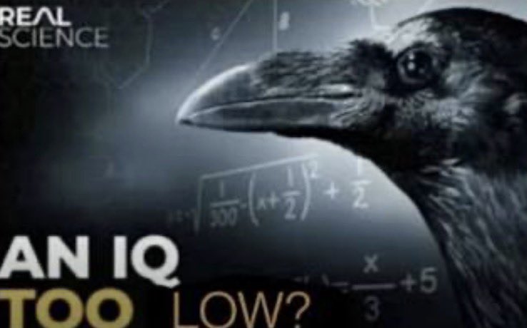 roz tweet media