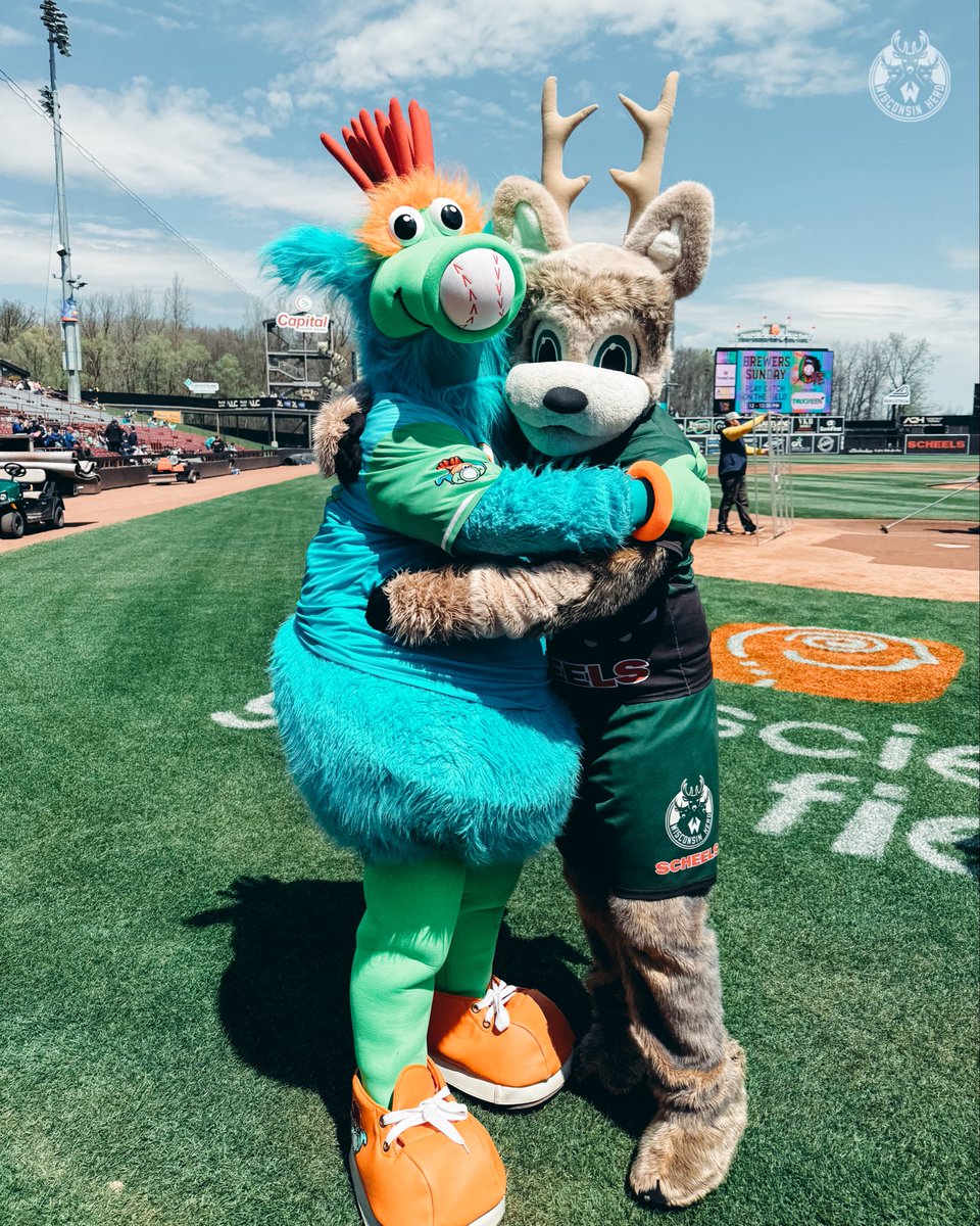 Wisconsin Herd tweet media