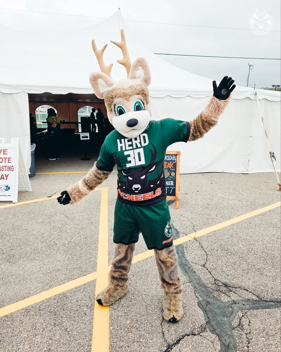 Wisconsin Herd tweet media