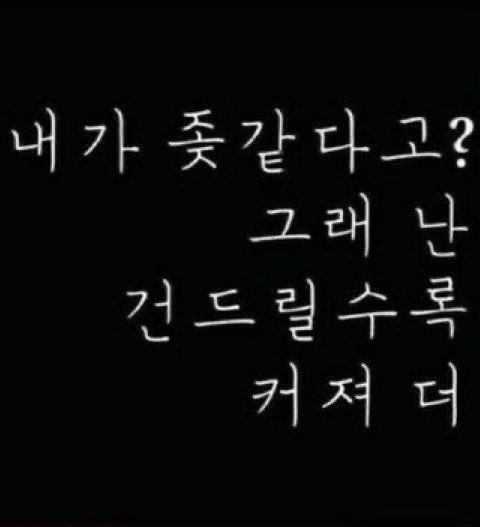 밈카이브 tweet media