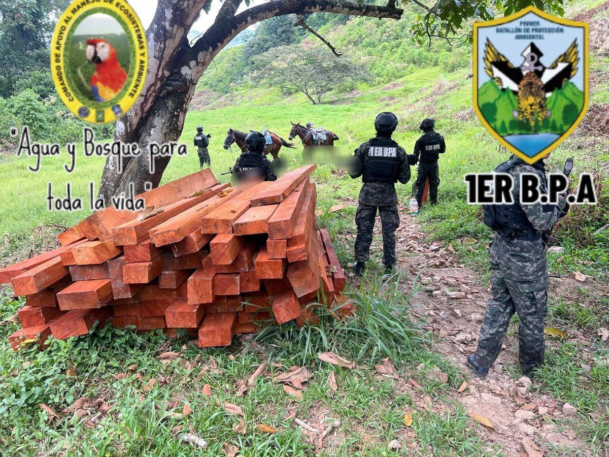 Secretaría de Estado de Defensa Nacional tweet media