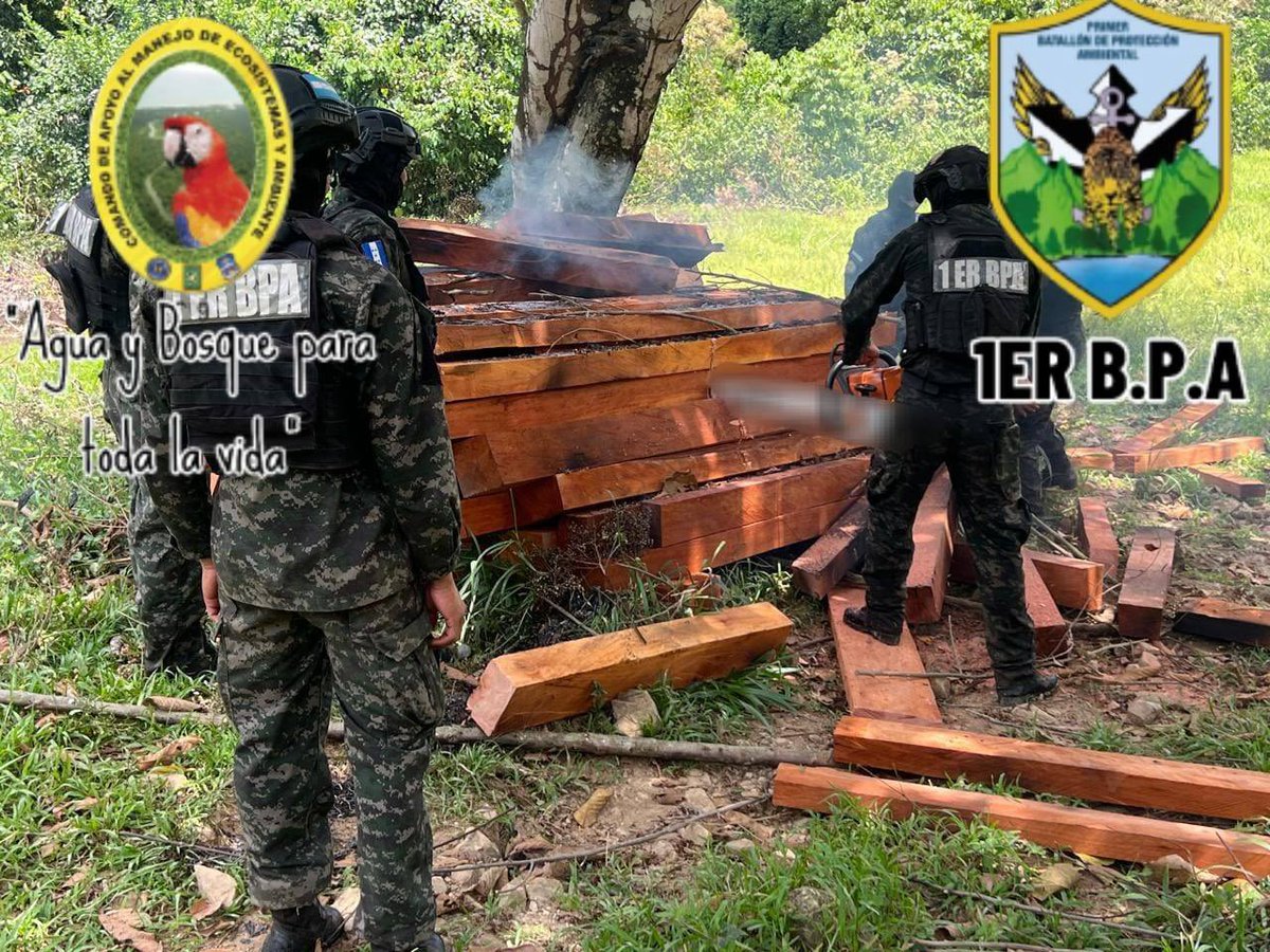 Secretaría de Estado de Defensa Nacional tweet media