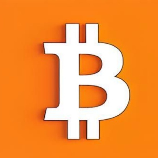 Bitcoin Archive tweet media