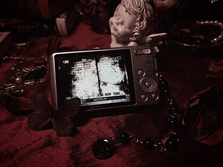 ♰ tweet media