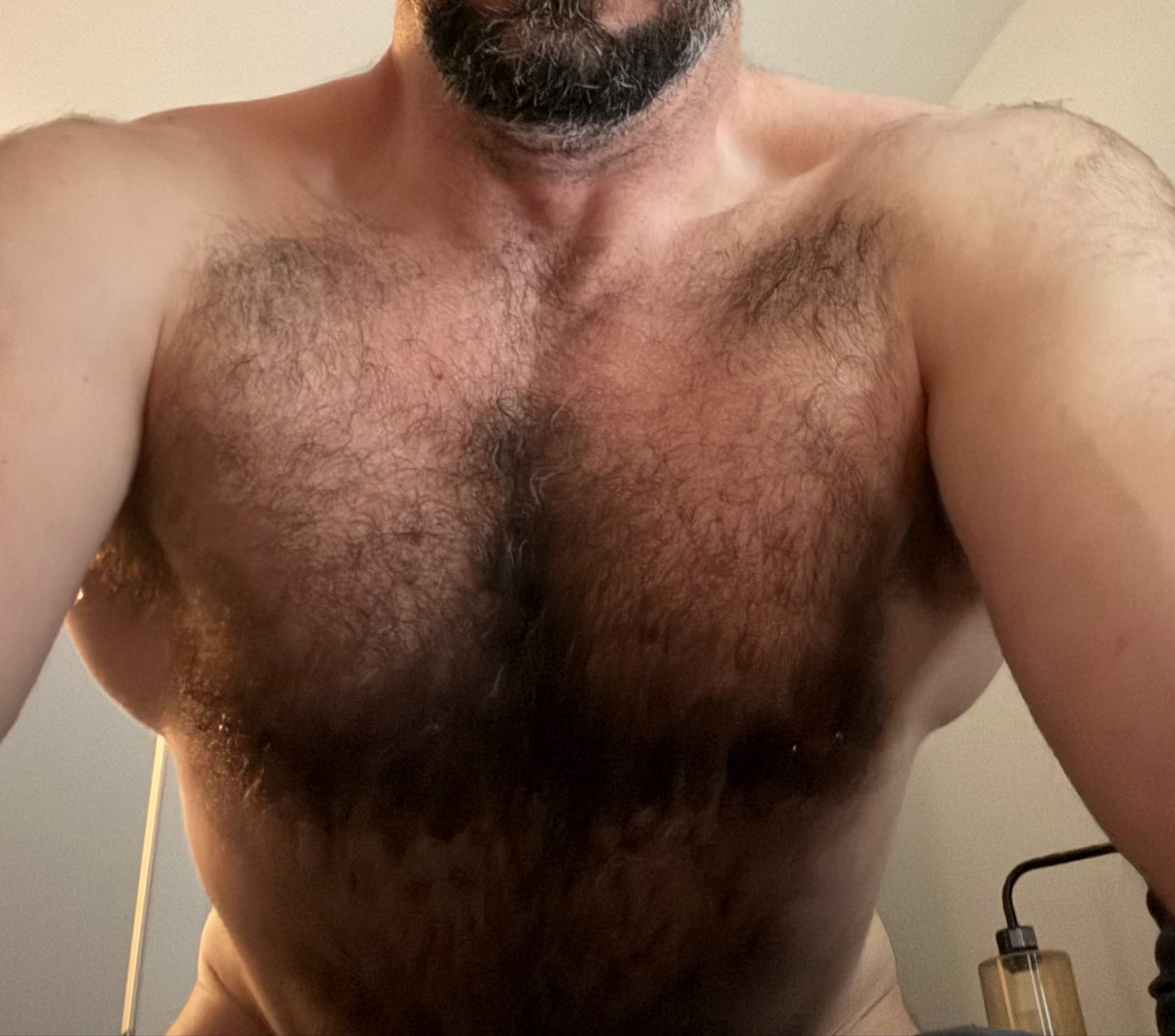 Chest Fur Sir tweet media