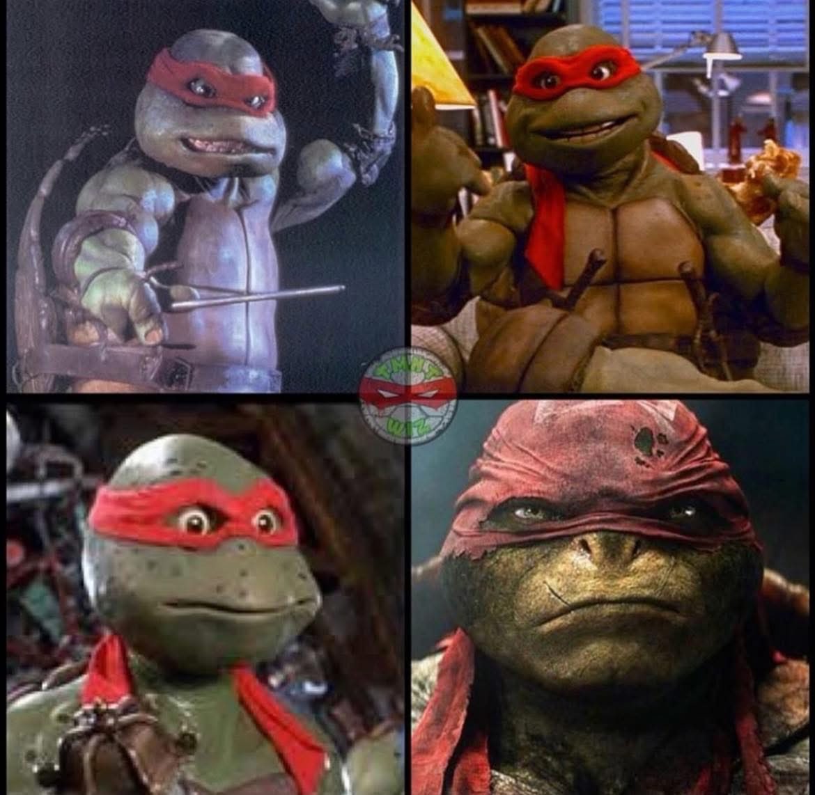 Turtle_Lair tweet media