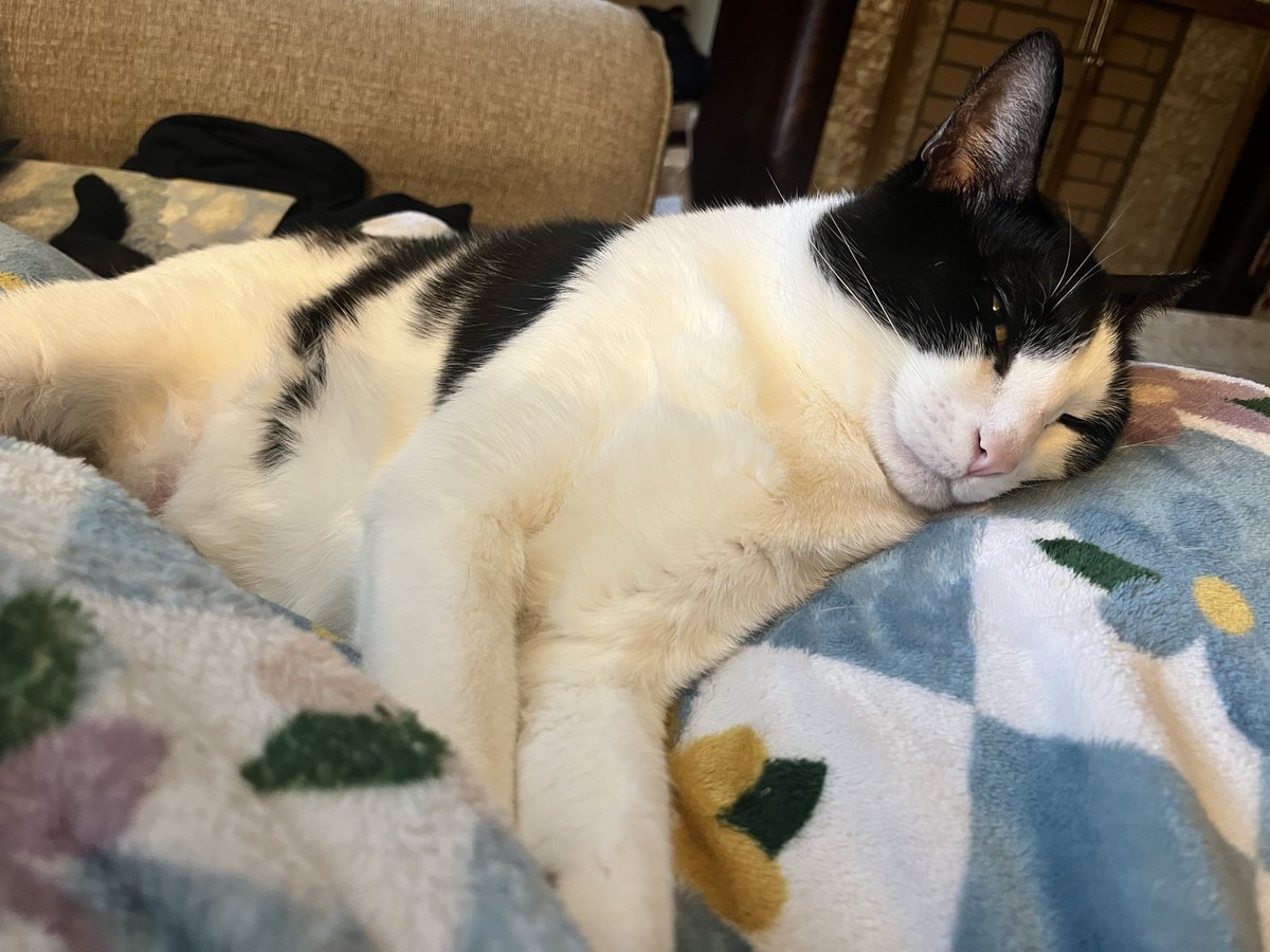 petey 💖 tweet media