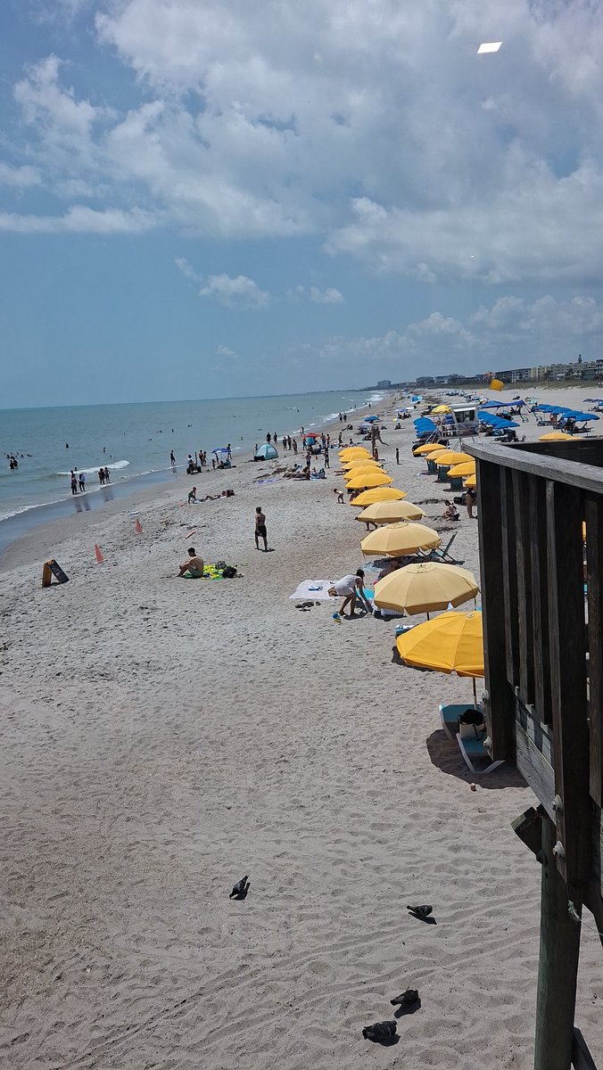 NangfaCidi's tweet photo. COCOA BEACH ORANDO คุณสาพามาอาบแดดค่ะ https://t.co/c1w404u9Ct