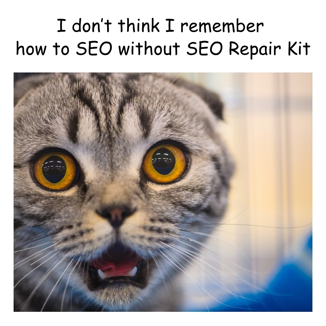 SEO_Repair_Kit's tweet photo. #SEO #TechnicalSEO #SEOTools #WordPressSEO #BrokenLinks #LinkBuilding #OnPageSEO #WebsiteAudit #SEOAudit #SEOMemes https://t.co/ihREZNytku
