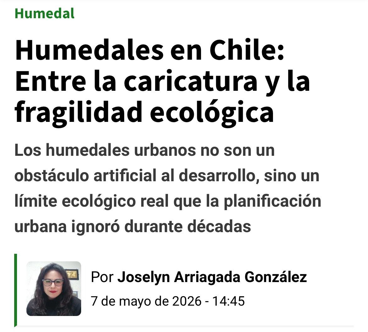 FAU U. de Chile tweet media
