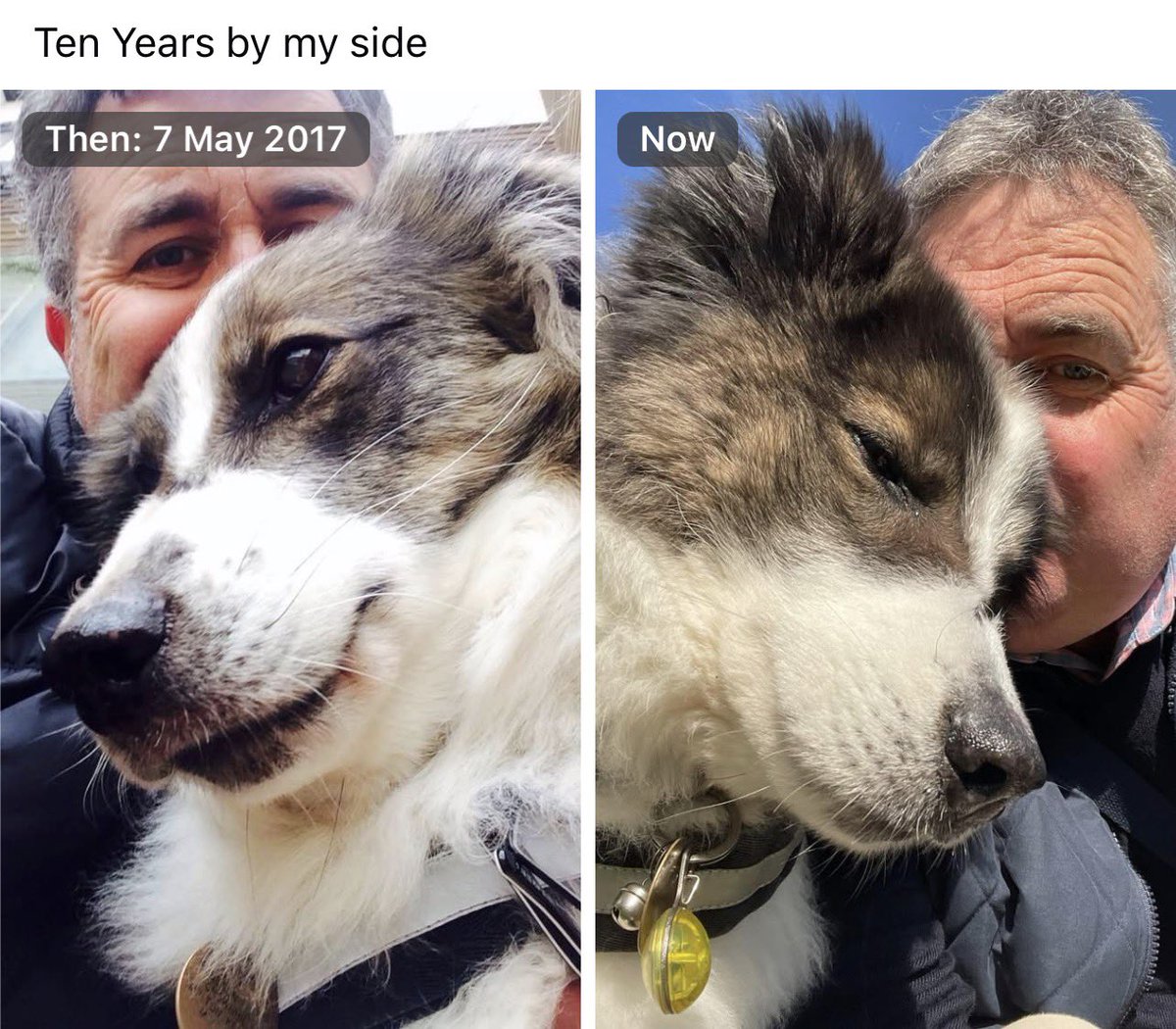 I don’t know where the ten years have gone but it’s a privilege to have him by my side