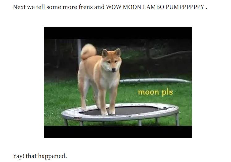 Oscar OG Shiba Inu tweet media