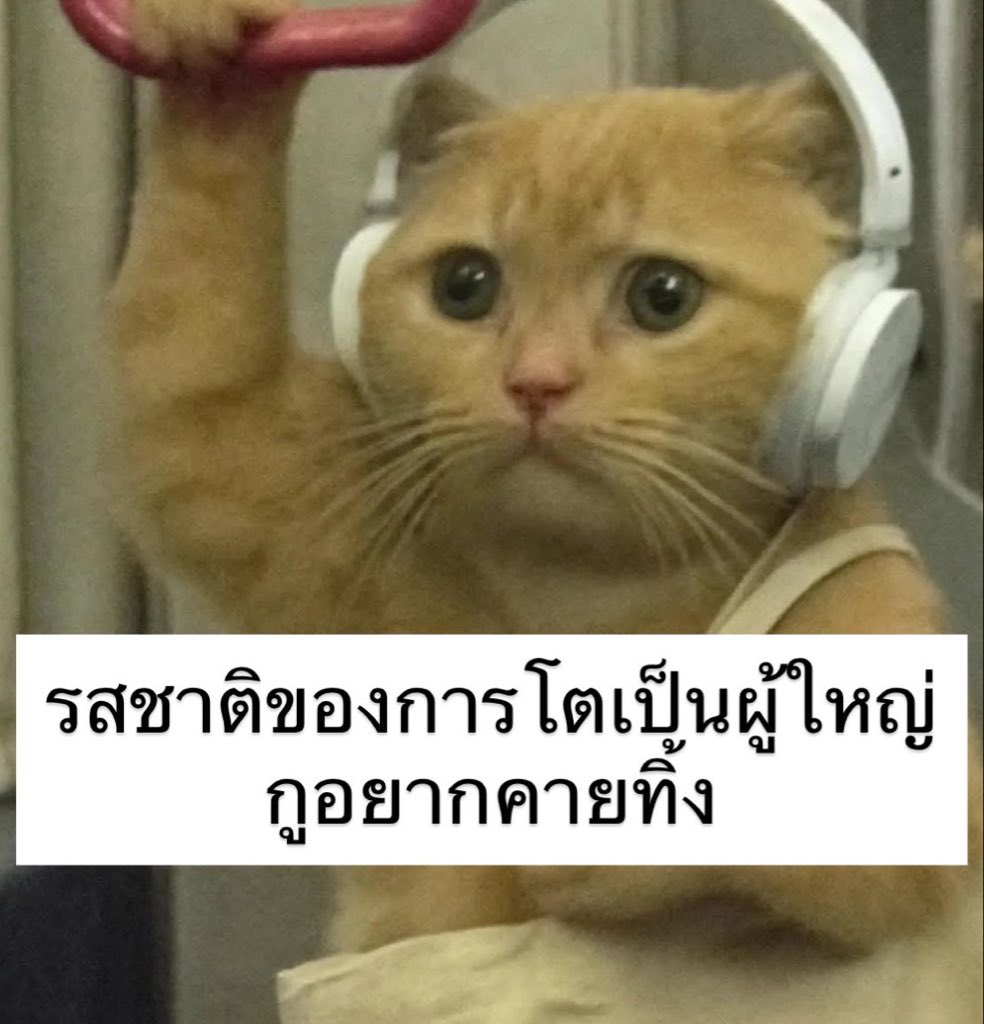 sutiฯ tweet media