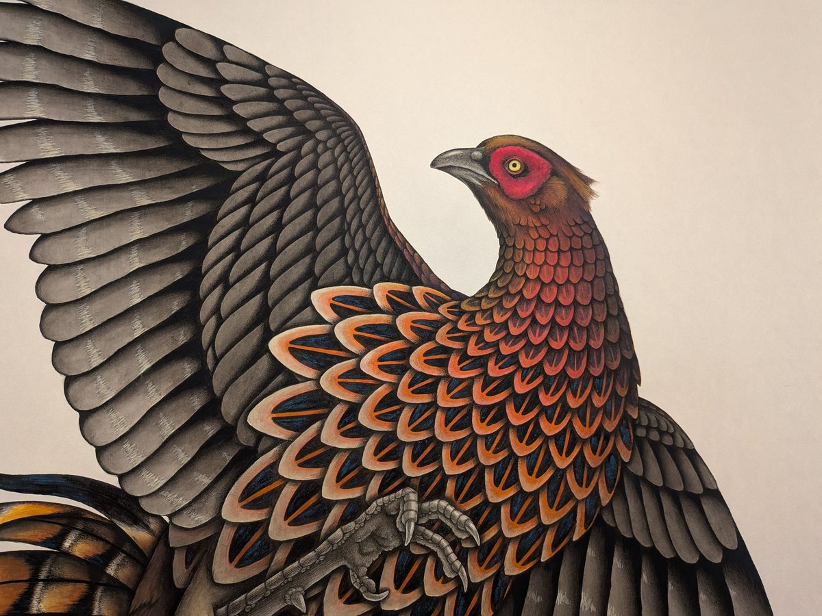 FLEW_GALLERY's tweet photo. いろ鳥鳥展（いろとりどりてん）17

鳥愛にあふれた作家たちによる鳥展です。

■参加作家
小宮彩瑛　naggy　西田ひなの
はる　明璃　村田 葵　
モトムラアヤコ　ヨリドリ

■2026.5.8(Fri)-5.19(Tue)　※5.14休
12-18時（最終日15時まで）

＃鳥
#フリュウ・ギャラリー　#フリュウギャラリー　#根津 https://t.co/evGNEY8mXV
