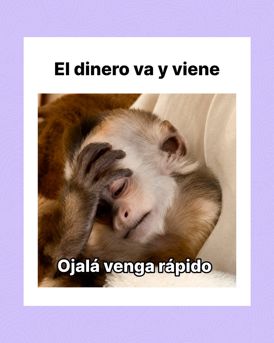 Plazo tweet media