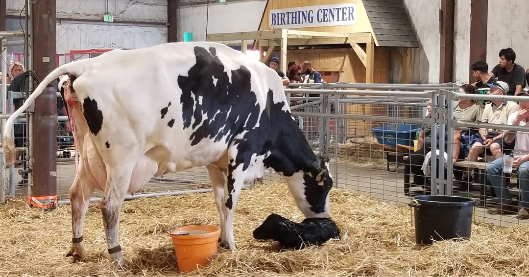 Maryland State Fair tweet media