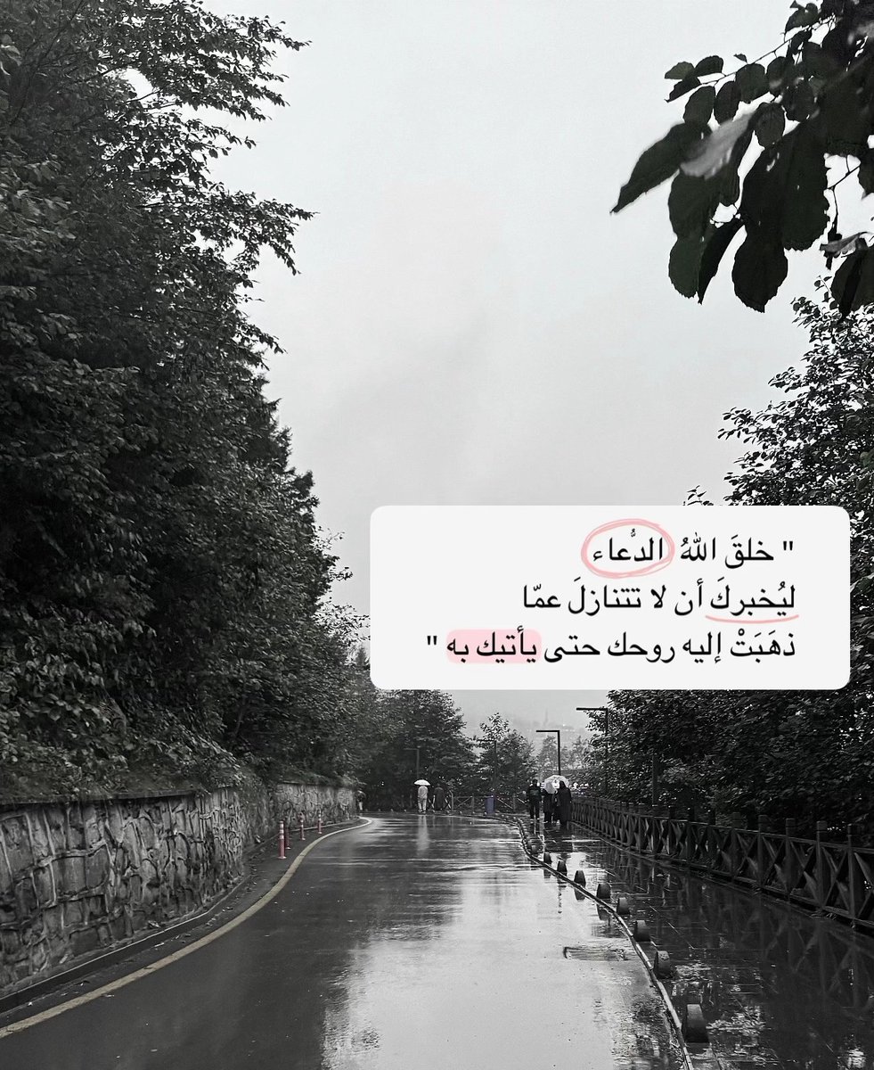 EnOb2k's tweet photo. #جمعة_مباركة https://t.co/H5hKvFLrIT